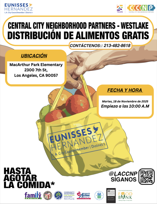Flyer Spanish