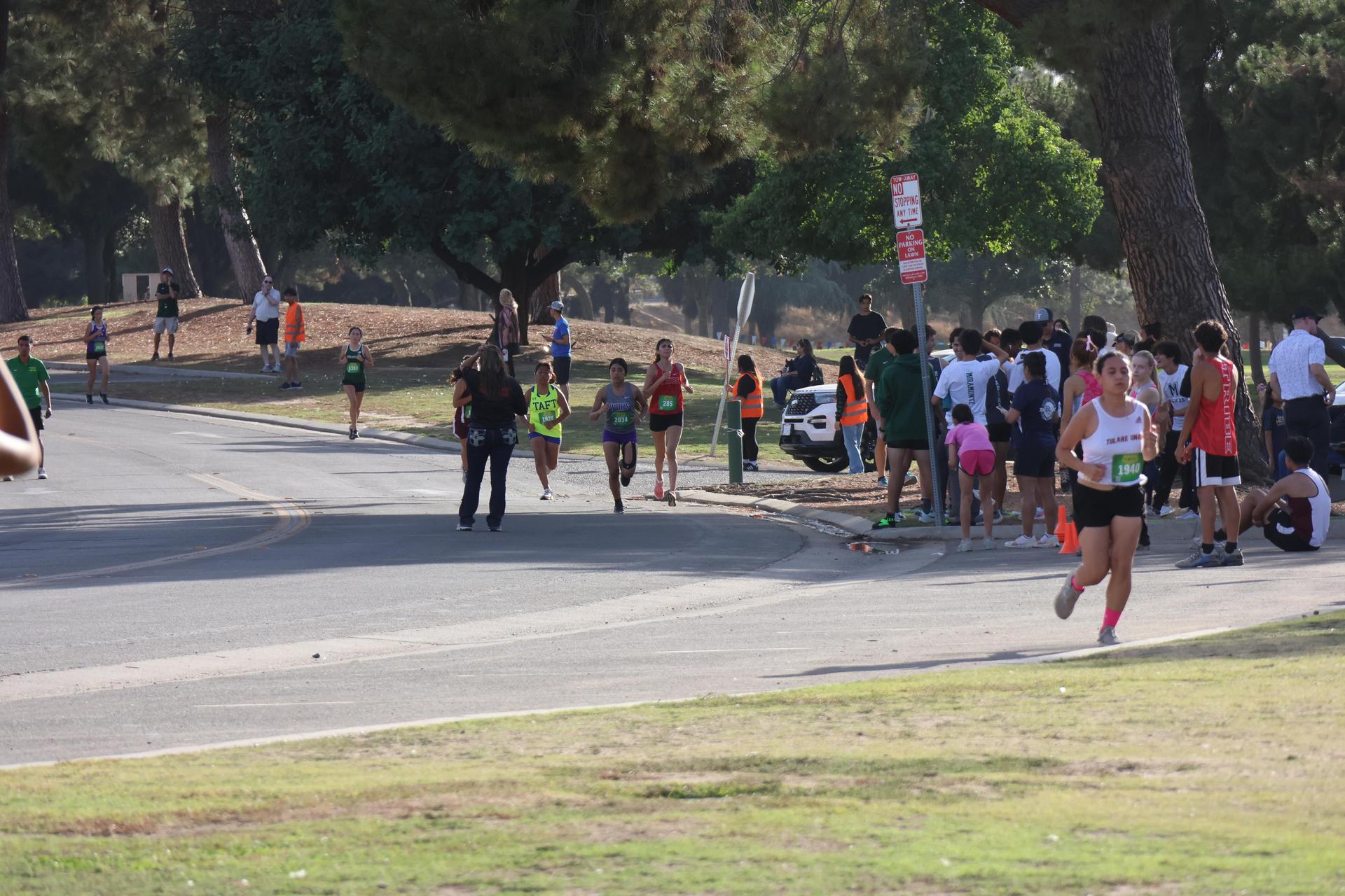 cross country runners in action