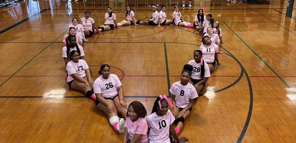 wolfe volleyball pink