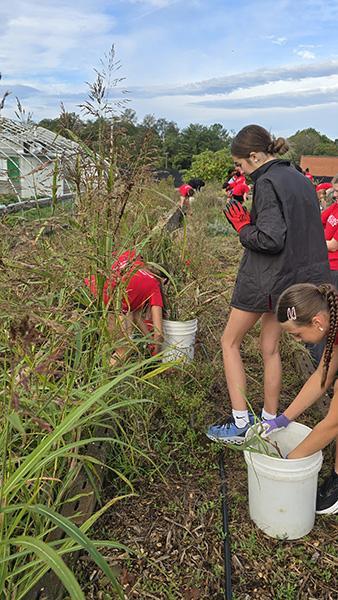 JRDS 8th graders work at Lynchburg Grows.