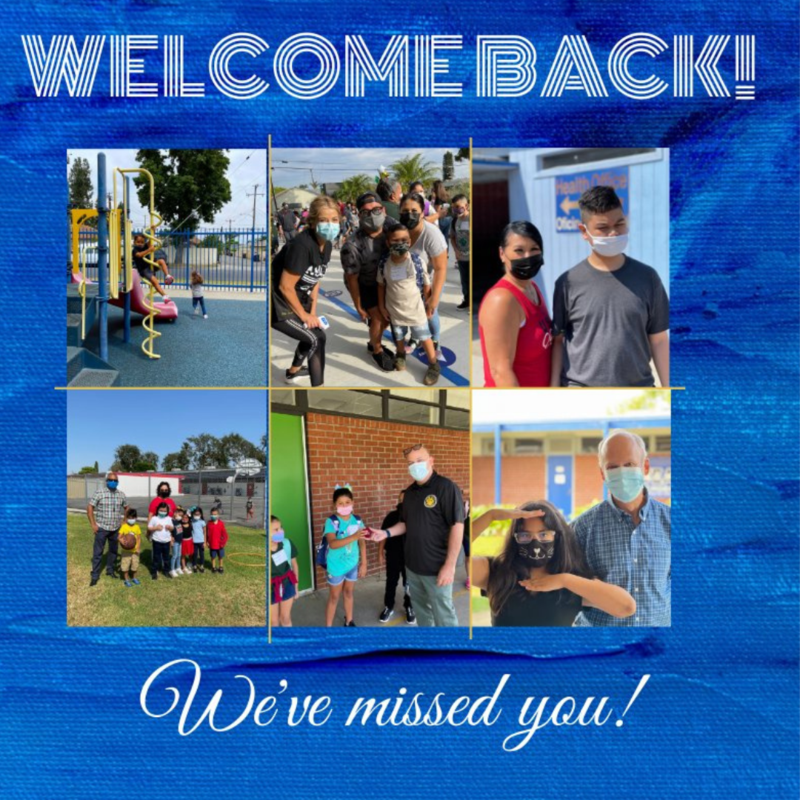 Welcome Back!