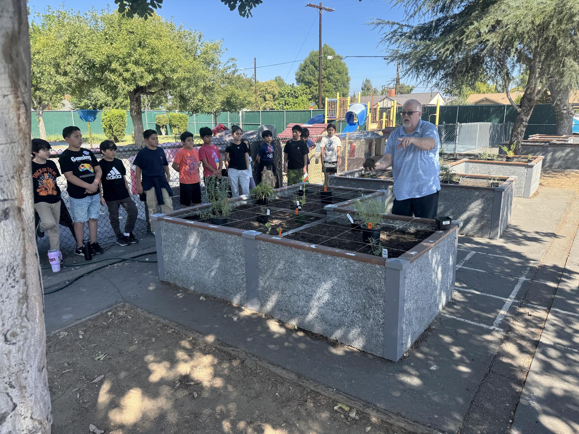 Lorne's Monarch Butterfly Sanctuary Garden
