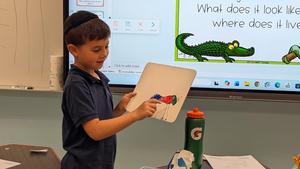 reptiles