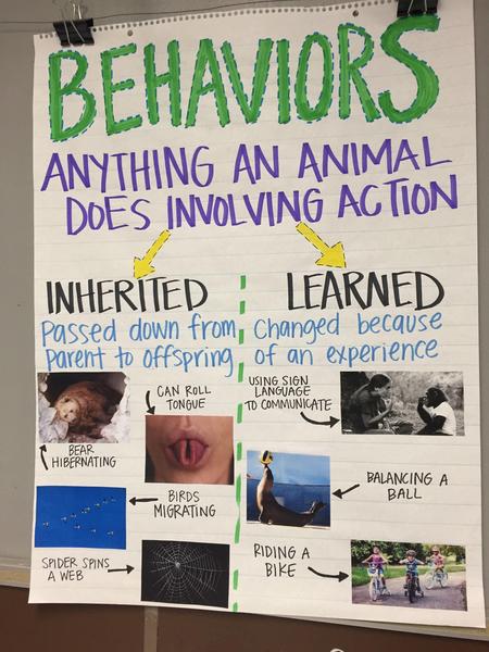 Behaviors.jpg