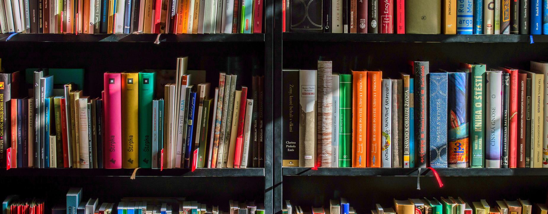 Library book shelves