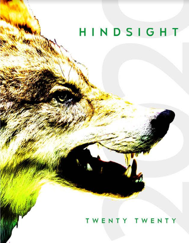 BMS 2018-2019 Yearbook