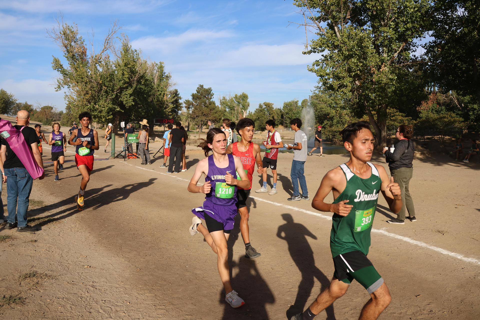 cross country runners in action