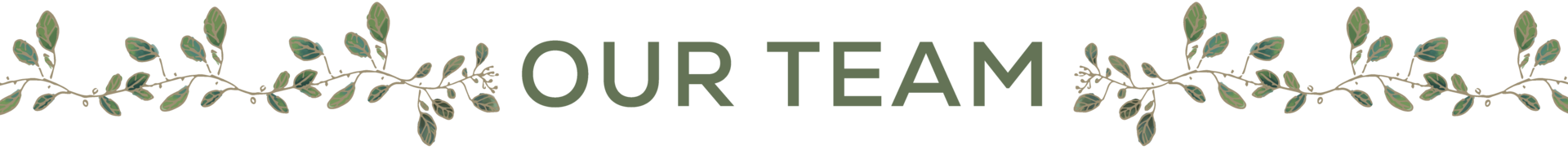 Decorative divider with leafy vines on both sides and the word “Our Team” in green centered between them.