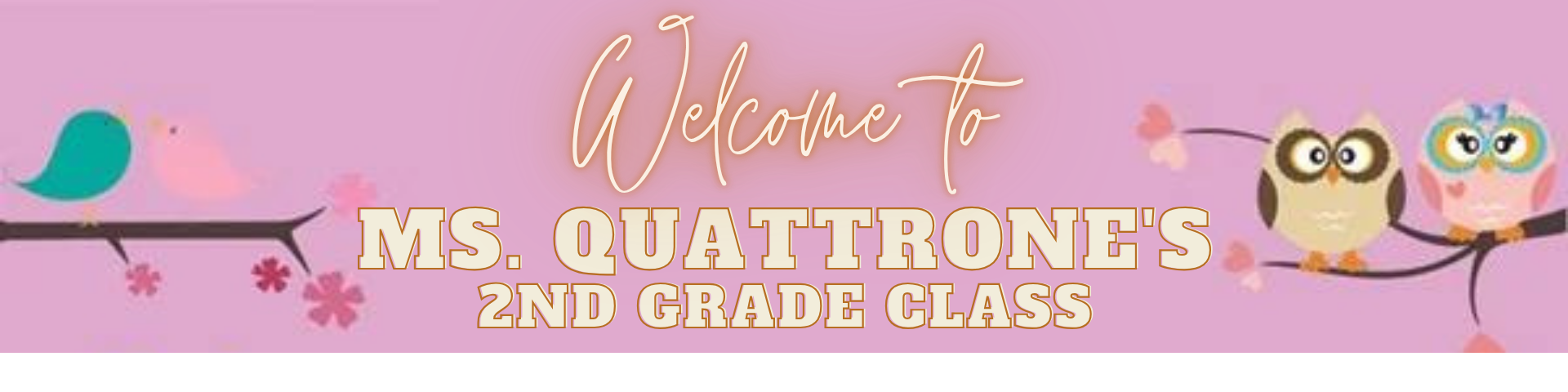 Welcome to Ms. Quattrone's 2nd Grade Class