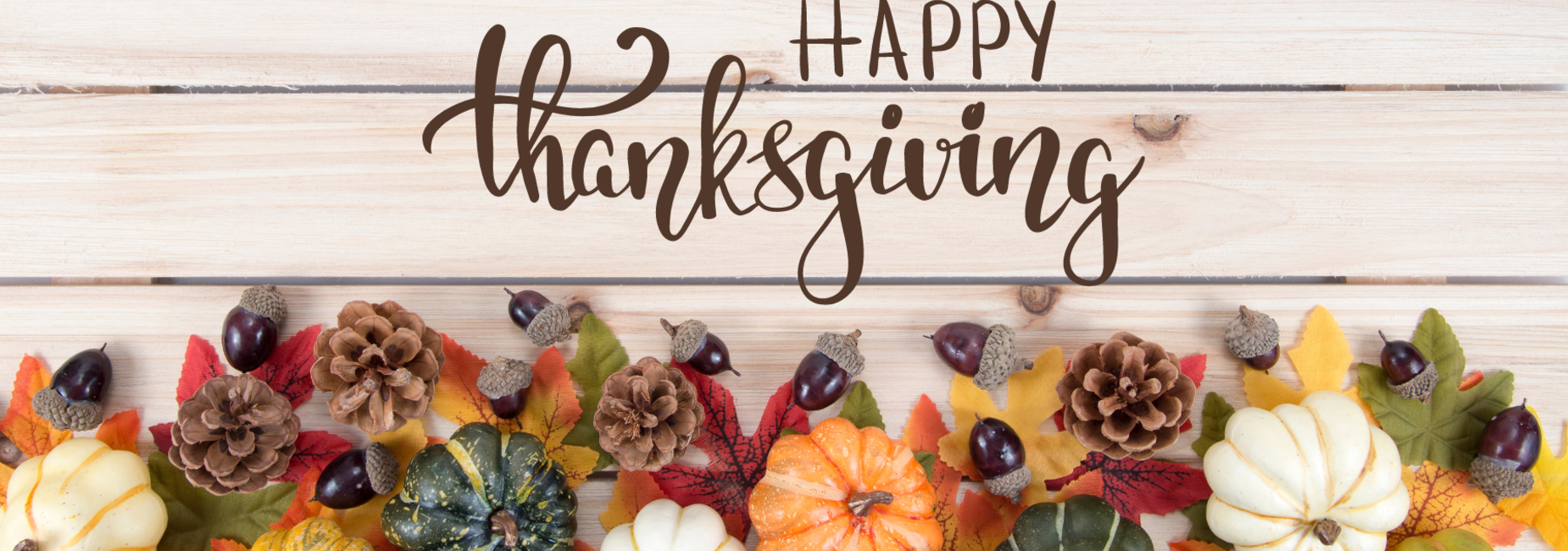 Happy Thanksgiving