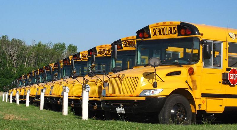 a line of yellow school busses