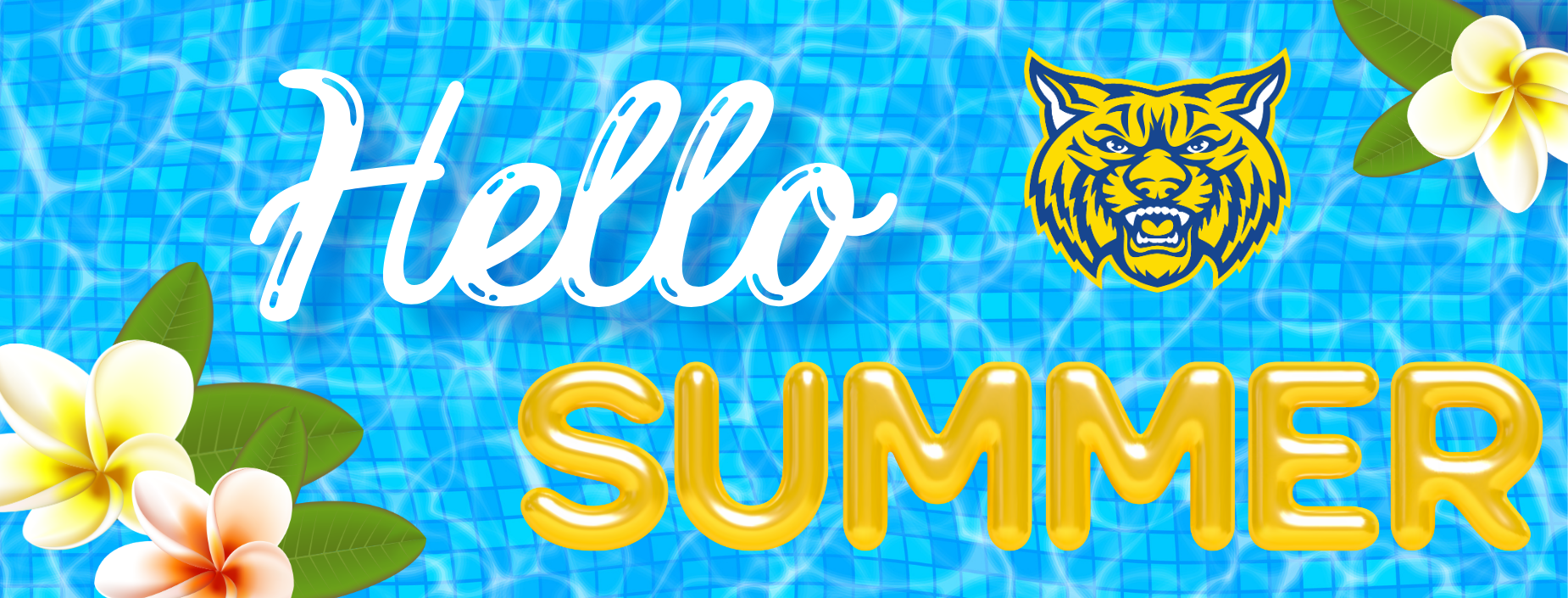 hello summer