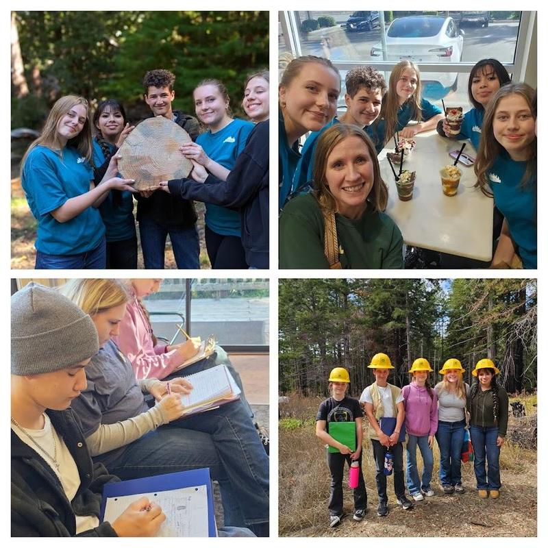 Forestry Challenge Collage
