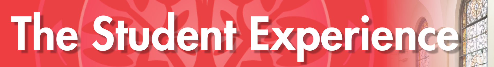 The Student Experience Title Heading