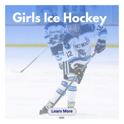 Hockey player skating 