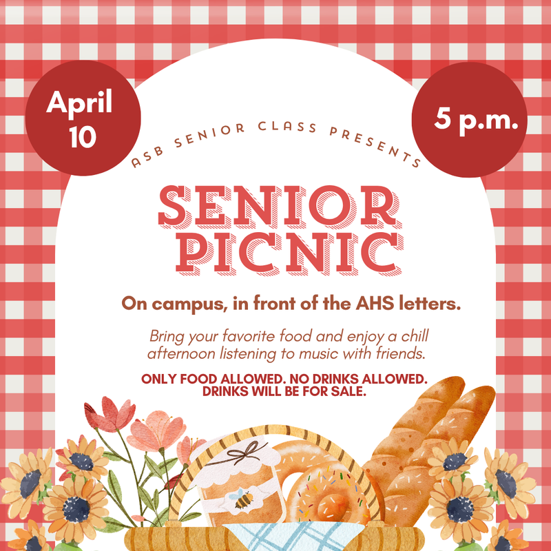 senior picnic