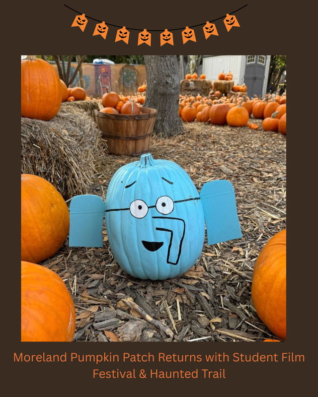 Moreland Pumpkin Patch
