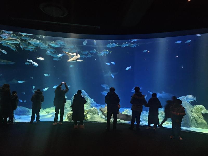 Students standing in front of aquarium