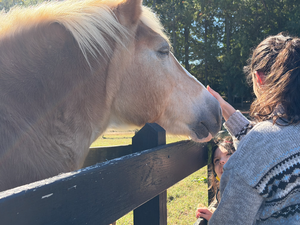 student and parent petting a brown horse