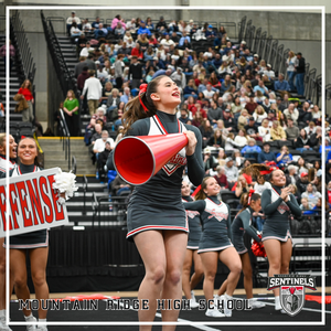 SENTINEL SPIRIT SHINES AT THE STATE CHAMPIONSHIPS