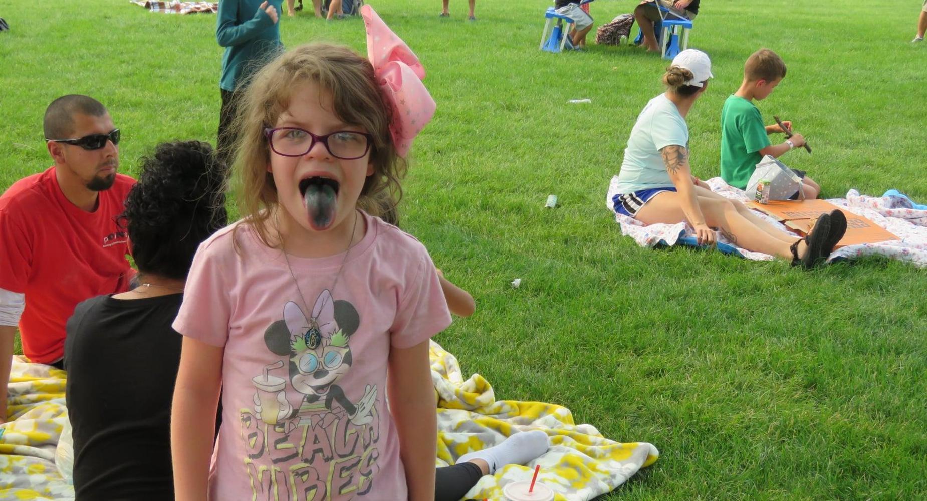 family picnic