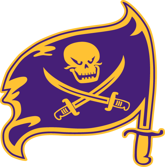 Pirate Flag logo