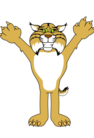 Bobcat Mascot