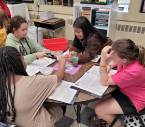 muddy water experiment