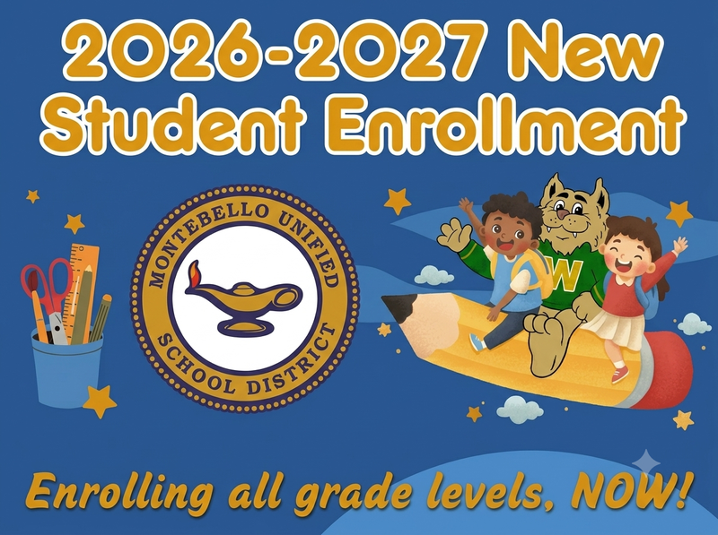 School Enrollment