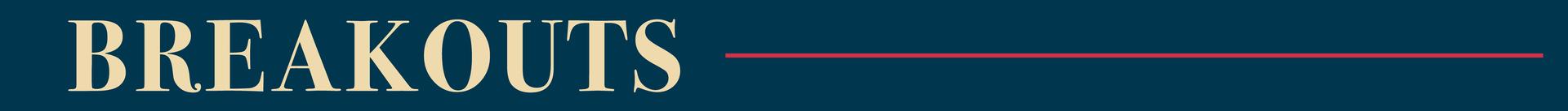 breakout web divider