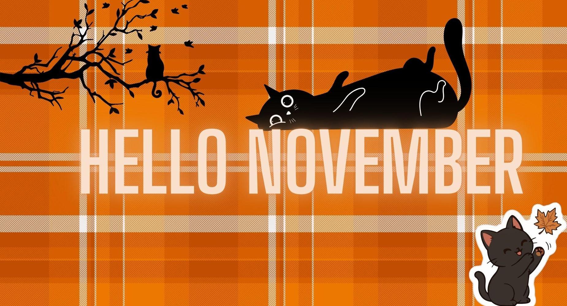 Hello November