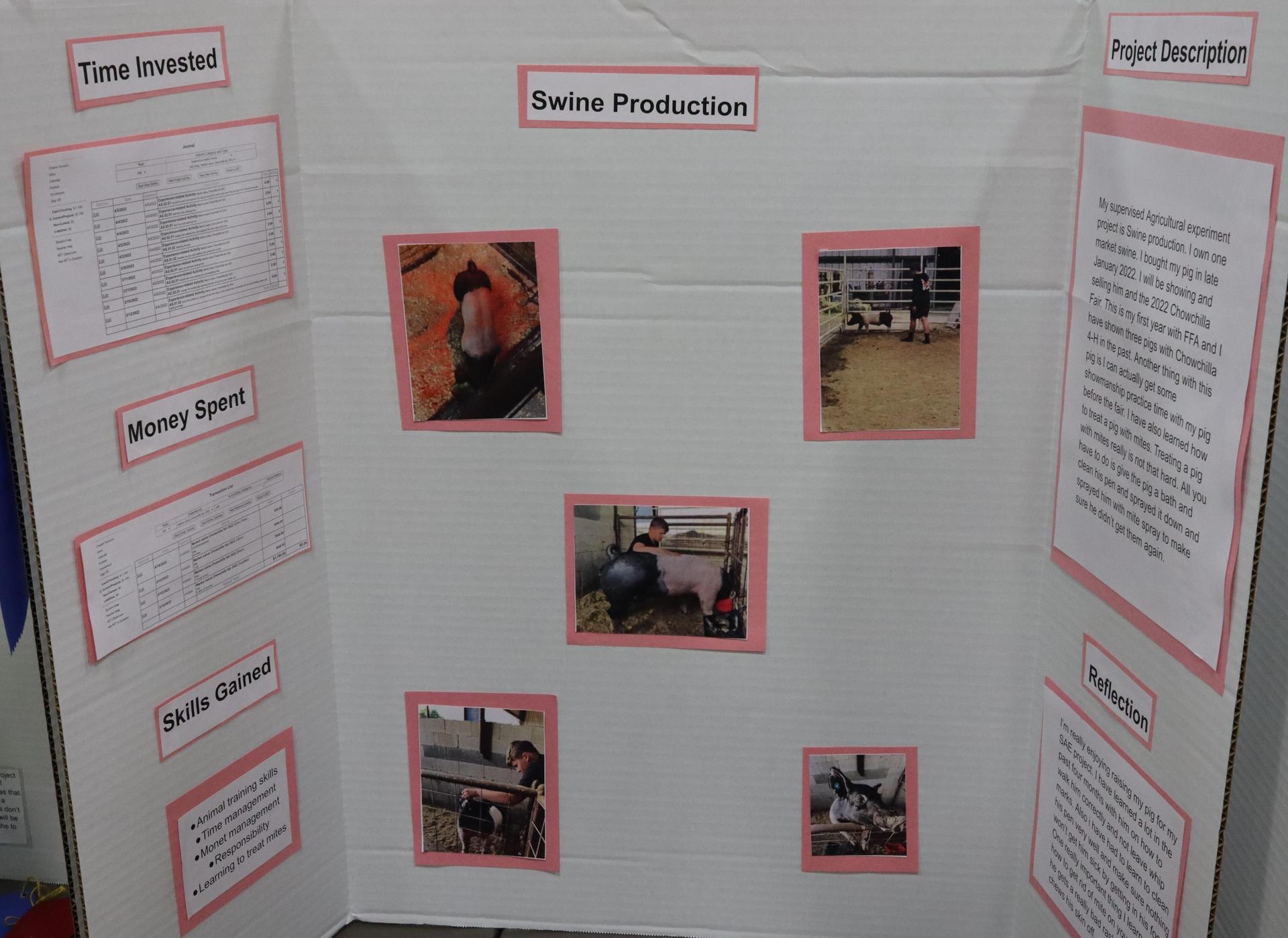 A Supervised Agricultural Experience trifold display