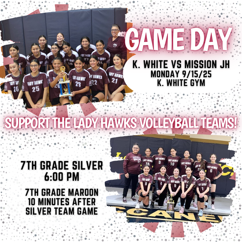 Game Day Volleyball!