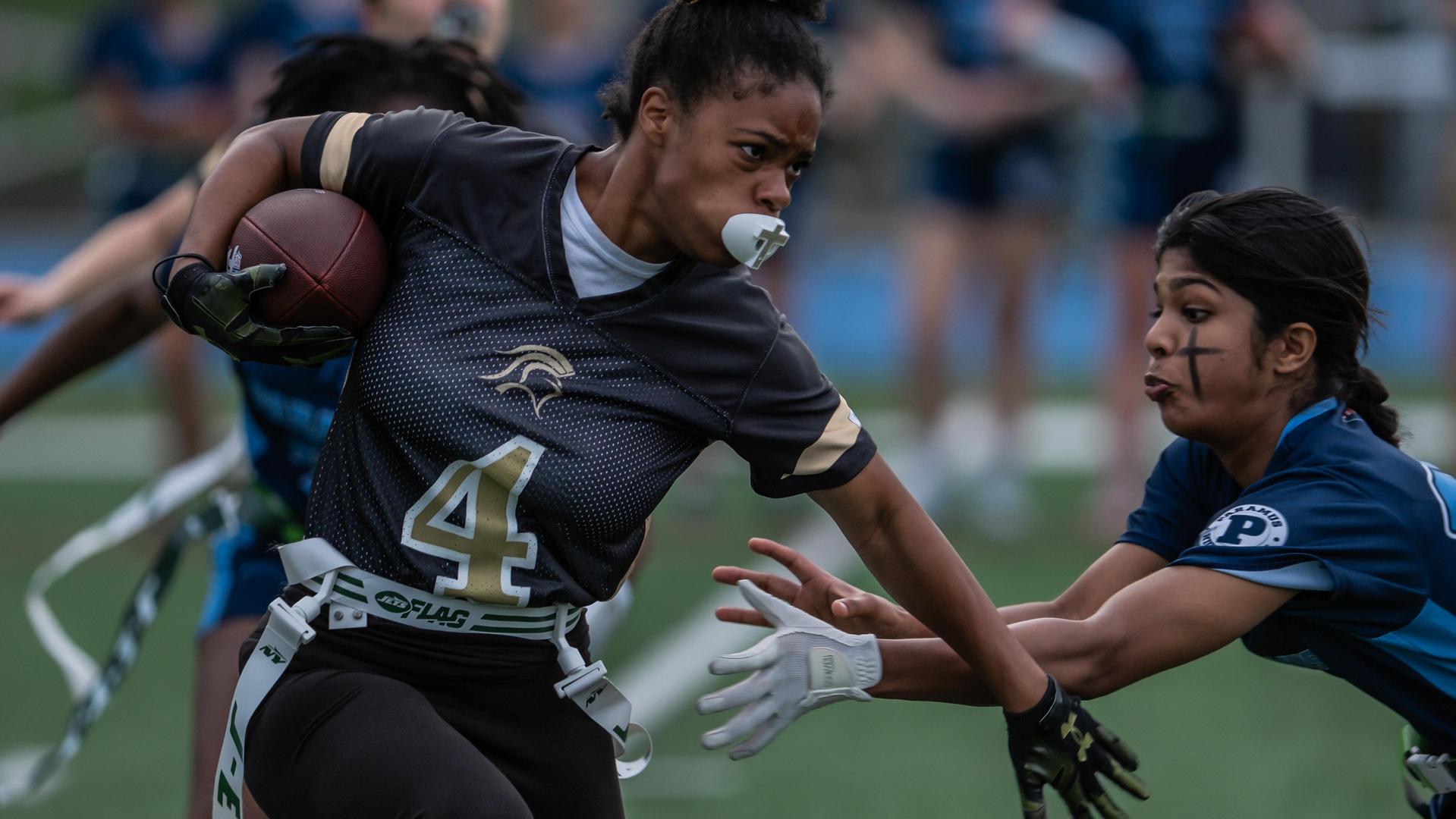 Homepage Shuffle Gallery 10