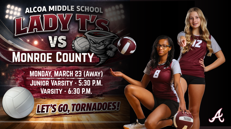 Volleyball Game Away