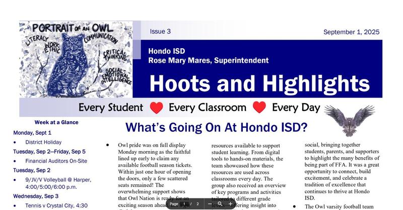 Hoots and Highlights screenshot of newsletter header