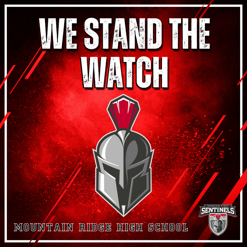 sen·ti·nel (noun): A soldier or guard whose job is to stand and keep watch.