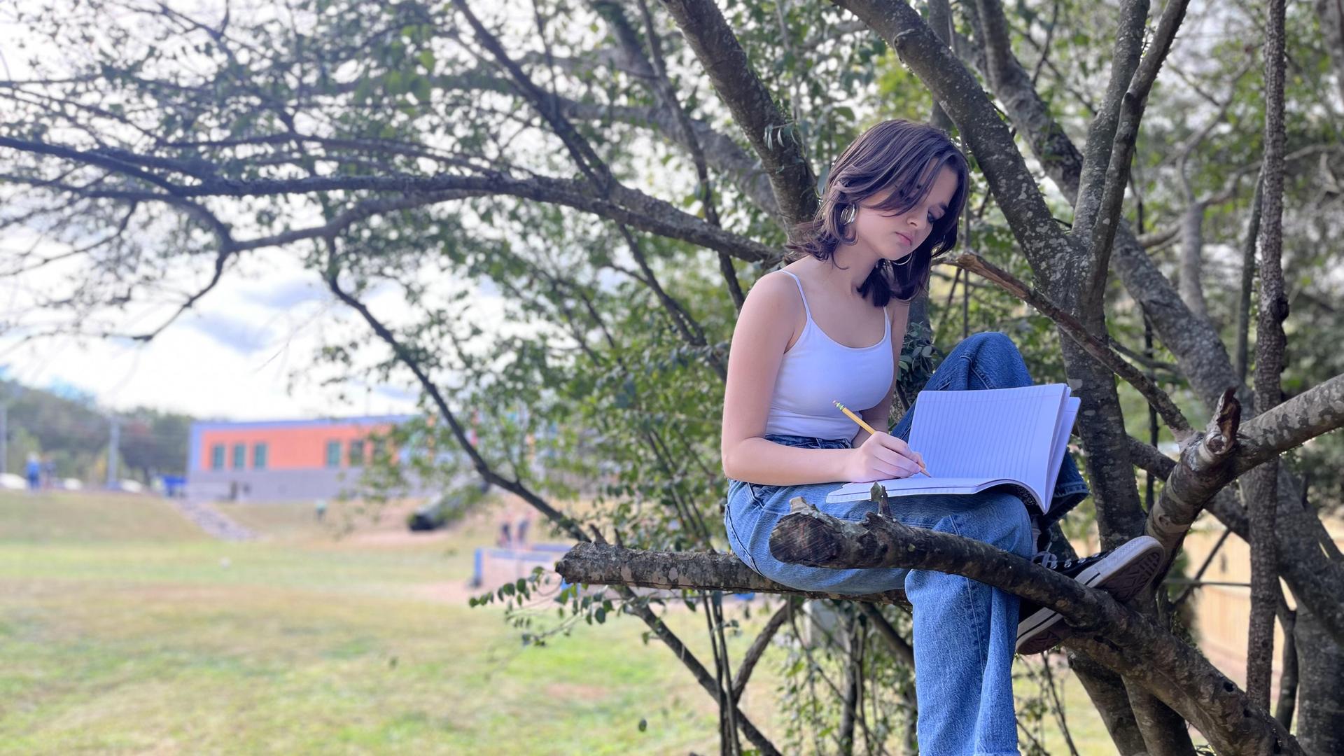 Girl sitting in a tree, writing in a notebook