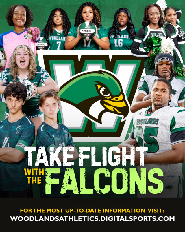 Take Flight with the Falcons Thumbnail