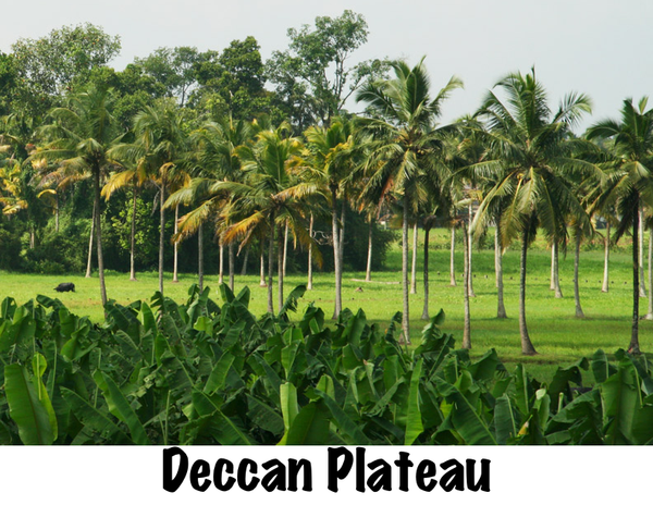Deccan Plateau.png