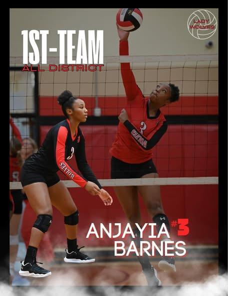 All District VB Team