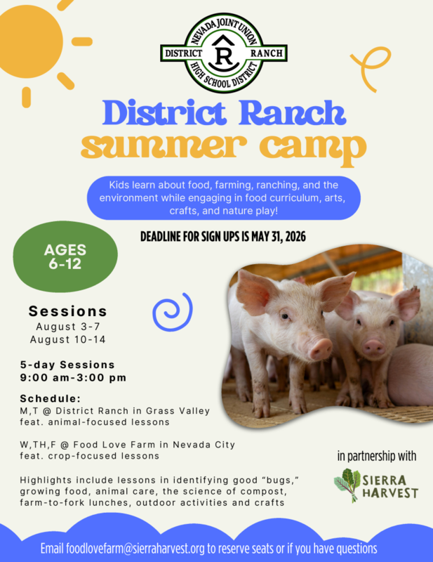 District Ranch Summer Camp Opportunity