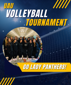 Volleyball Tournament Info