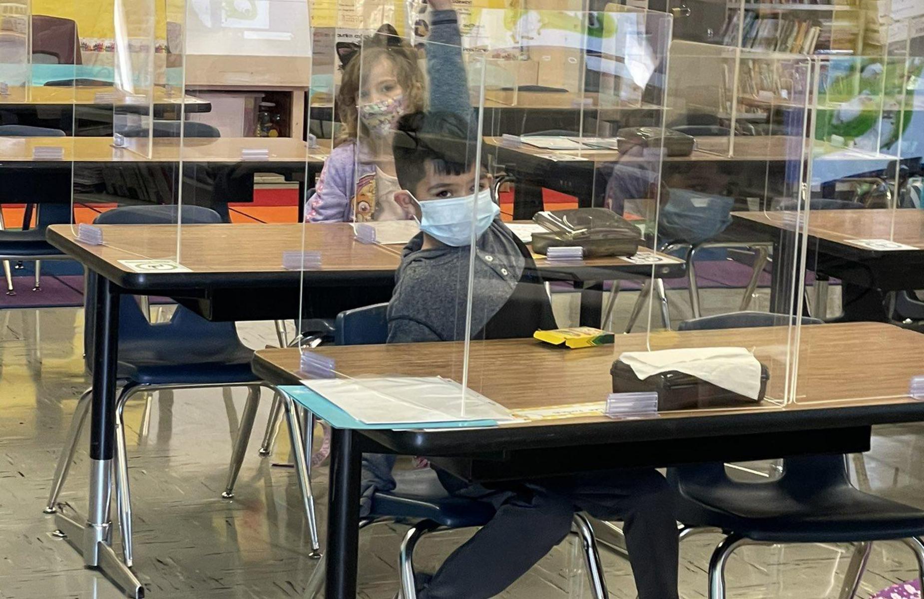 students raising hands in class