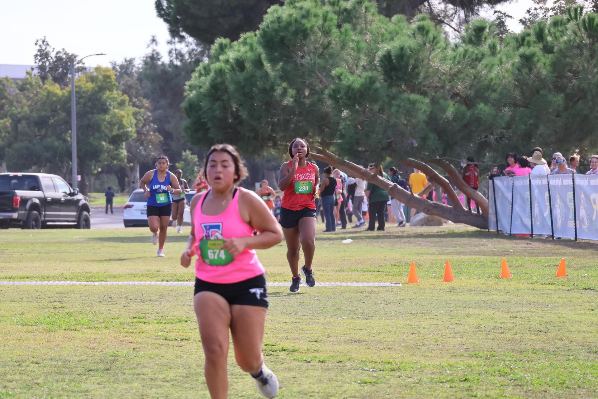 cross country runners in action