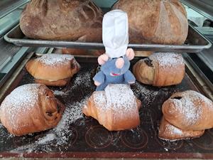 WhatsApp Image 2025-10-16 at 8.07.49 PM.jpeg