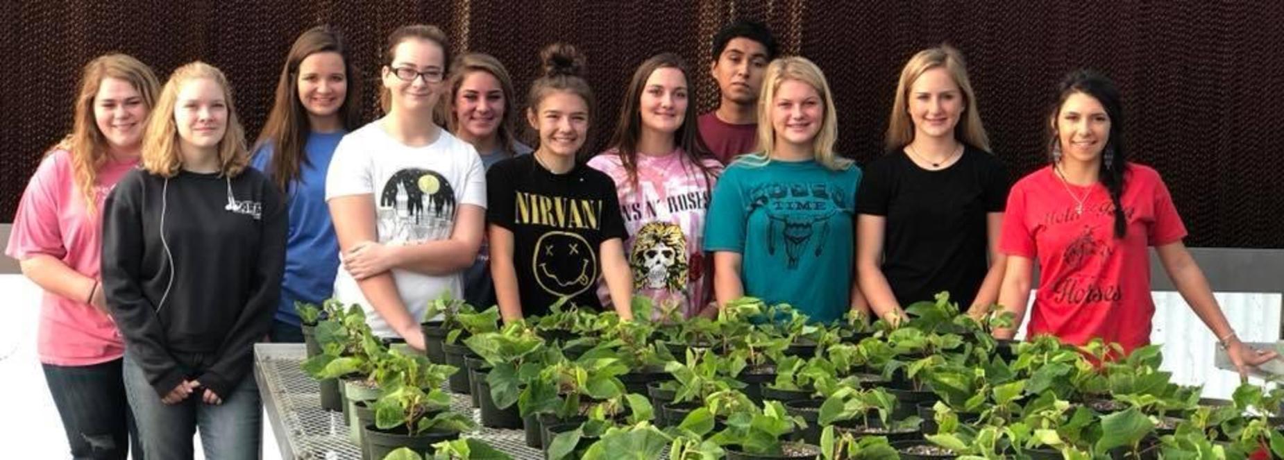 horticulture