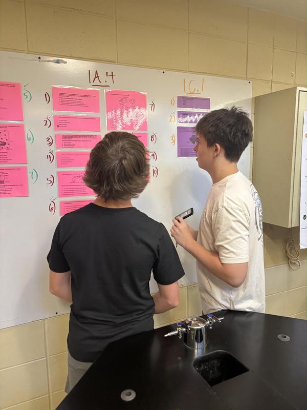 Other students looking at trivia cards on the wall