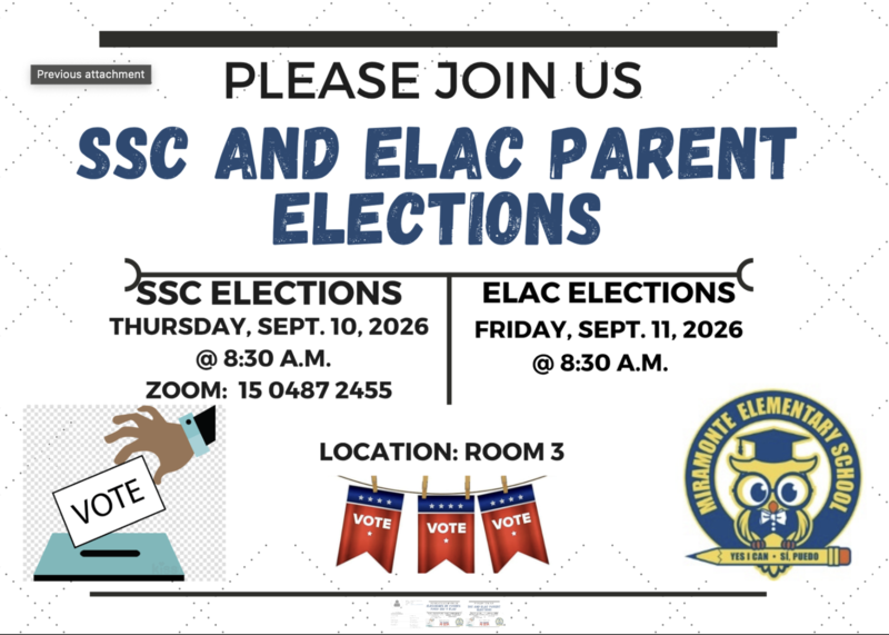 Council elections