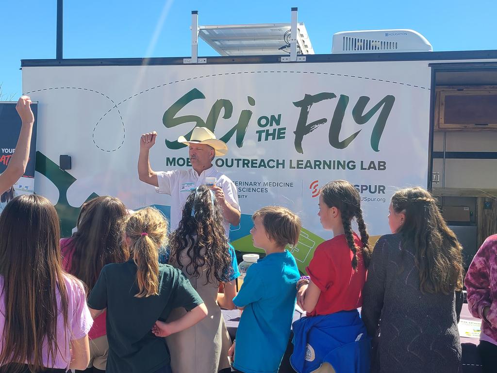 Sci on the Fly